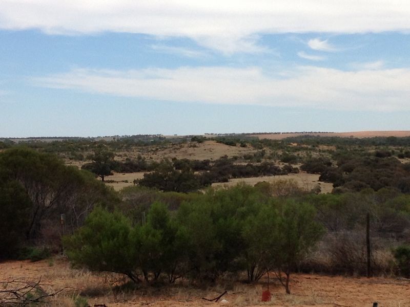 250 Rawnsley Road, Loveday SA 5345