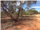 250 Rawnsley Road, Loveday SA 5345