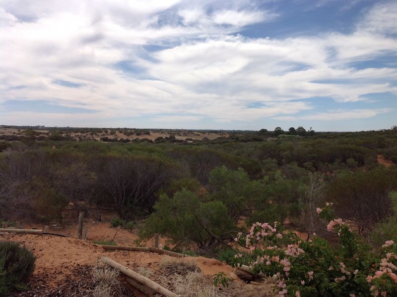 250 Rawnsley Road, Loveday SA 5345