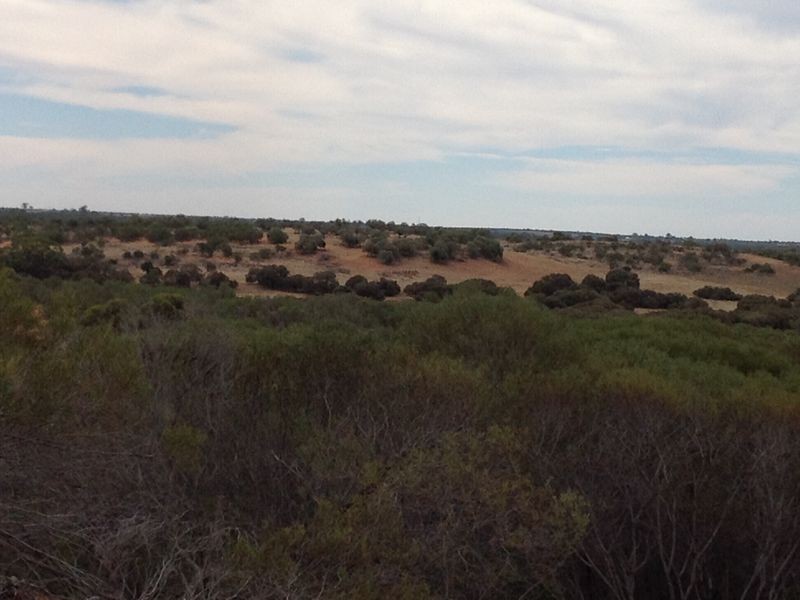 250 Rawnsley Road, Loveday SA 5345