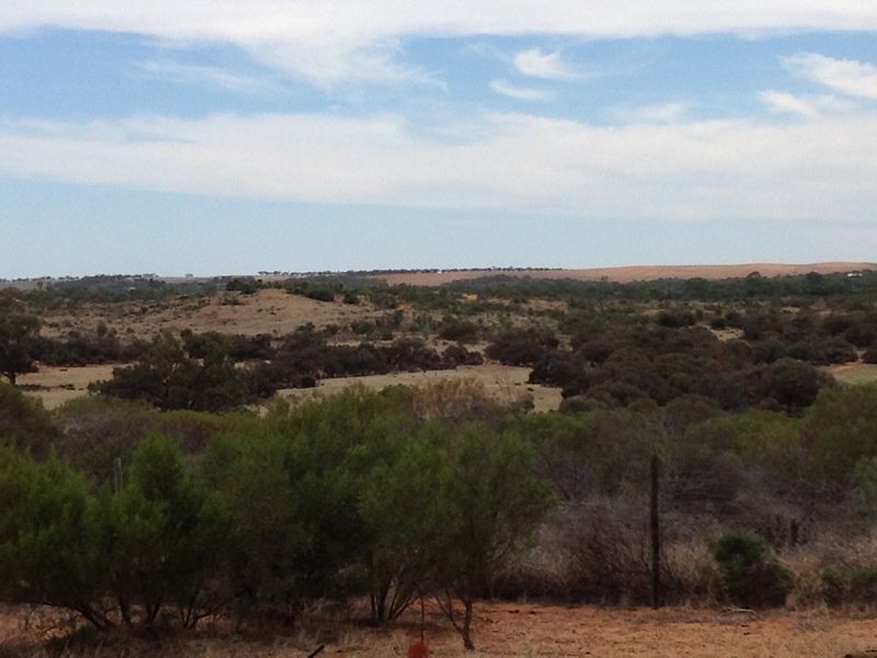 250 Rawnsley Road, Loveday SA 5345