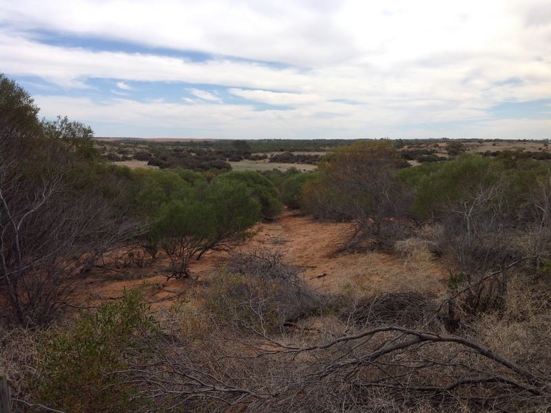 250 Rawnsley Road, Loveday SA 5345