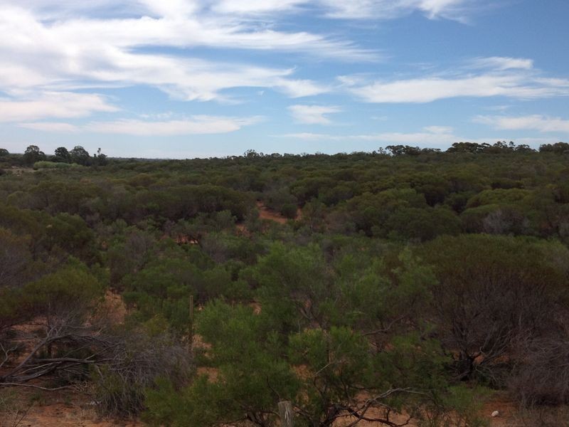 250 Rawnsley Road, Loveday SA 5345