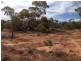 250 Rawnsley Road, Loveday SA 5345