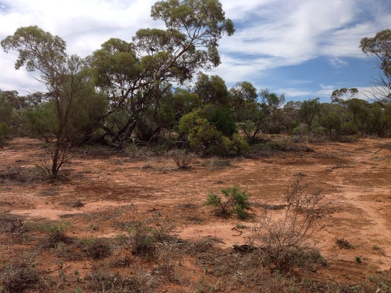 250 Rawnsley Road, Loveday SA 5345