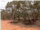 250 Rawnsley Road, Loveday SA 5345