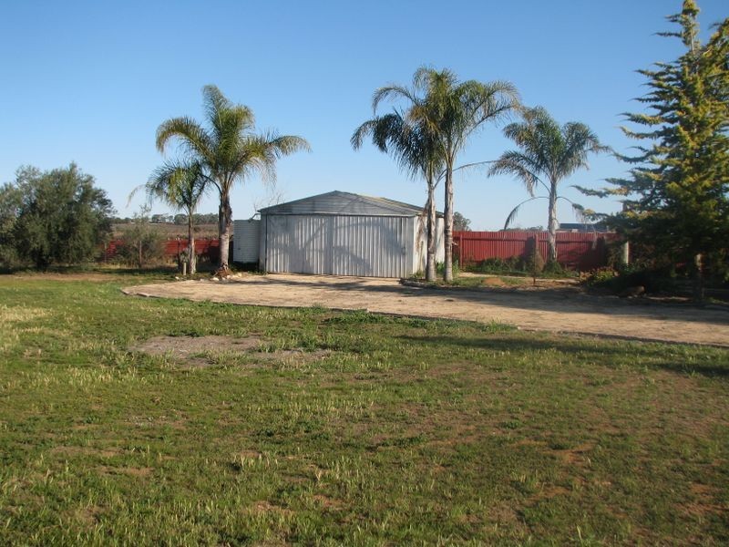 16990 Sturt Highway, Cobdogla SA 5346