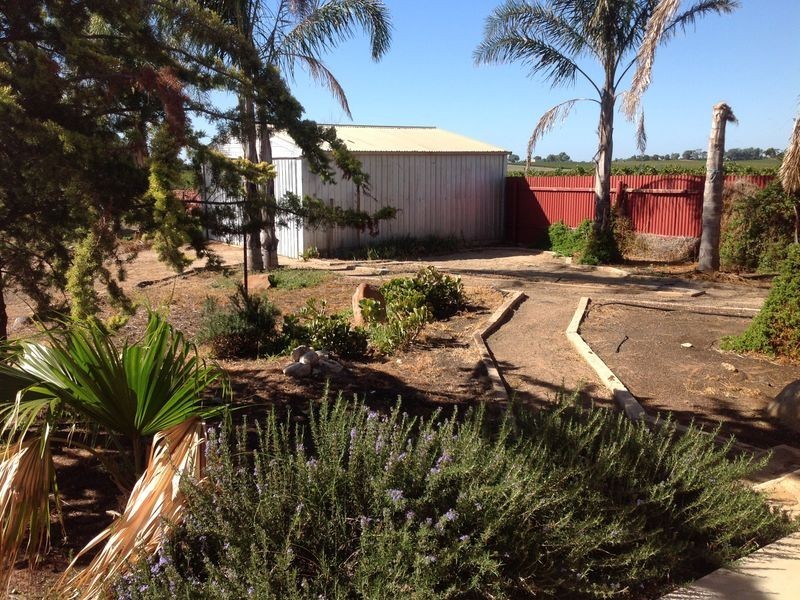 16990 Sturt Highway, Cobdogla SA 5346