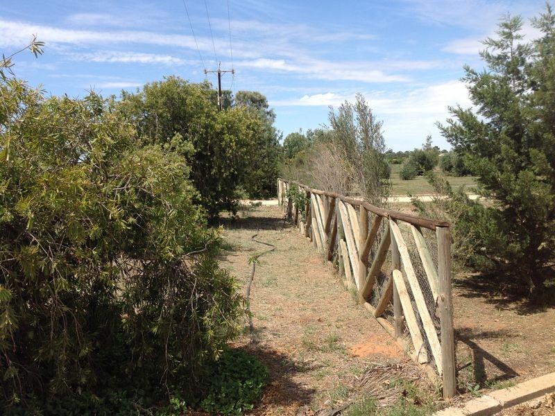 16990 Sturt Highway, Cobdogla SA 5346