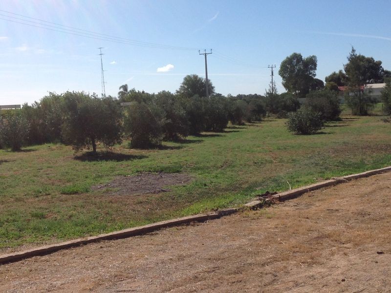 16990 Sturt Highway, Cobdogla SA 5346