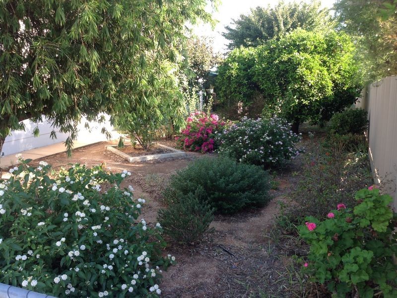 4 Muscat Avenue, Berri SA 5343