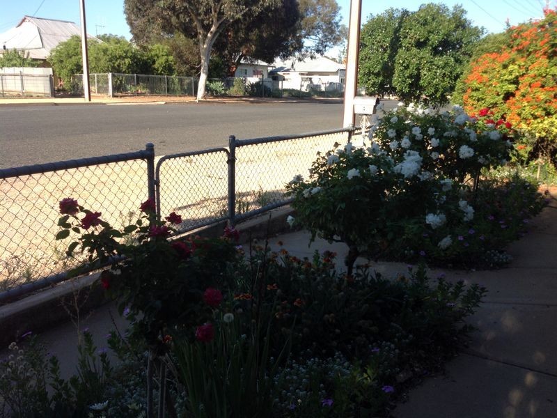 4 Muscat Avenue, Berri SA 5343