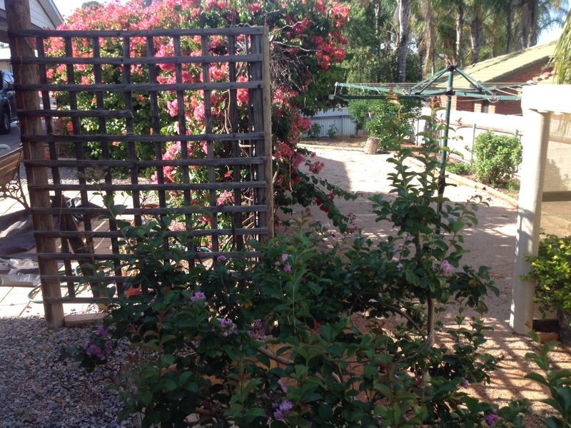 9 Viviancock Street, Berri SA 5343