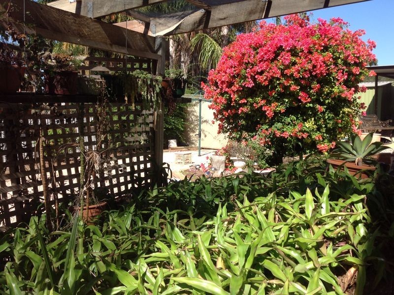 9 Viviancock Street, Berri SA 5343