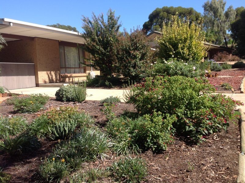 9 Viviancock Street, Berri SA 5343