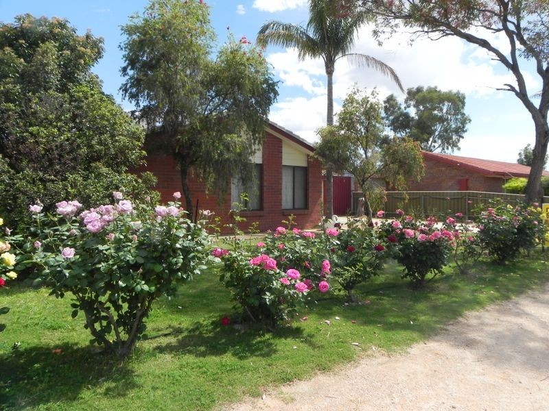 22 Banksia Street, Renmark SA 5341