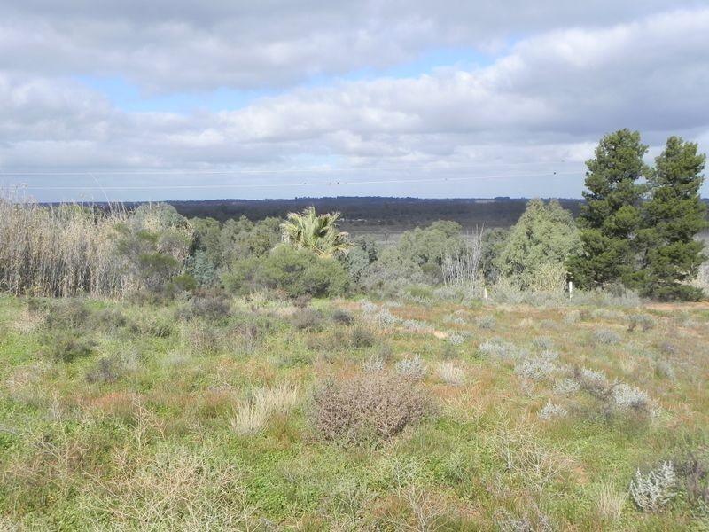 Lot 2 Old Sturt Highway, Berri SA 5343