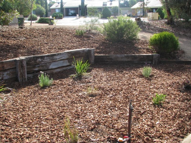 8 O’Malley Street, Berri SA 5343