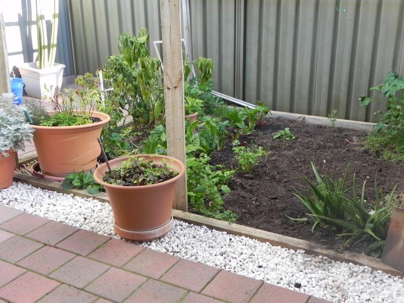 2 Edward Street, Berri SA 5343