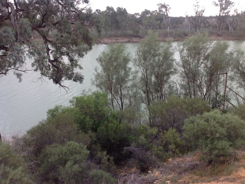 7 Ella Court, Loxton SA 5333