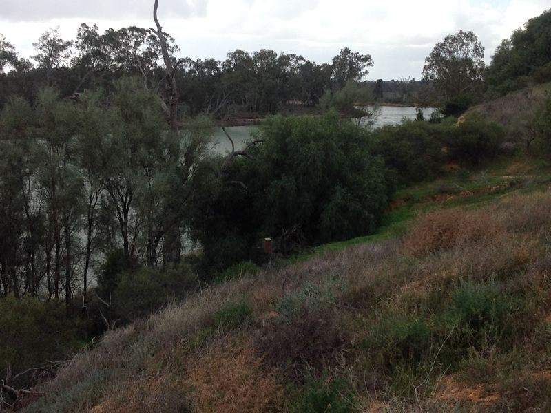 7 Ella Court, Loxton SA 5333