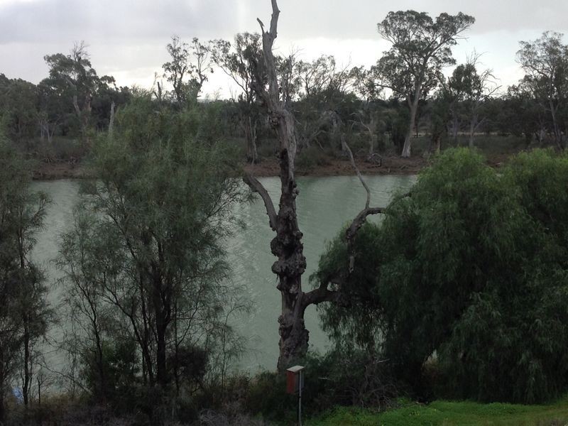 7 Ella Court, Loxton SA 5333