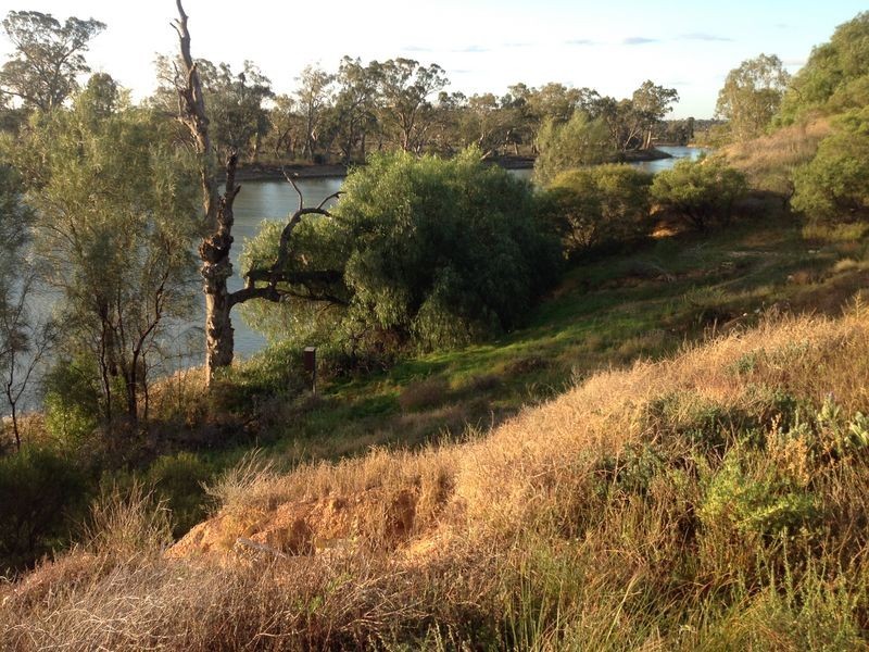 7 Ella Court, Loxton SA 5333