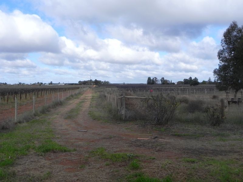 288 Hunt Road, Barmera SA 5345