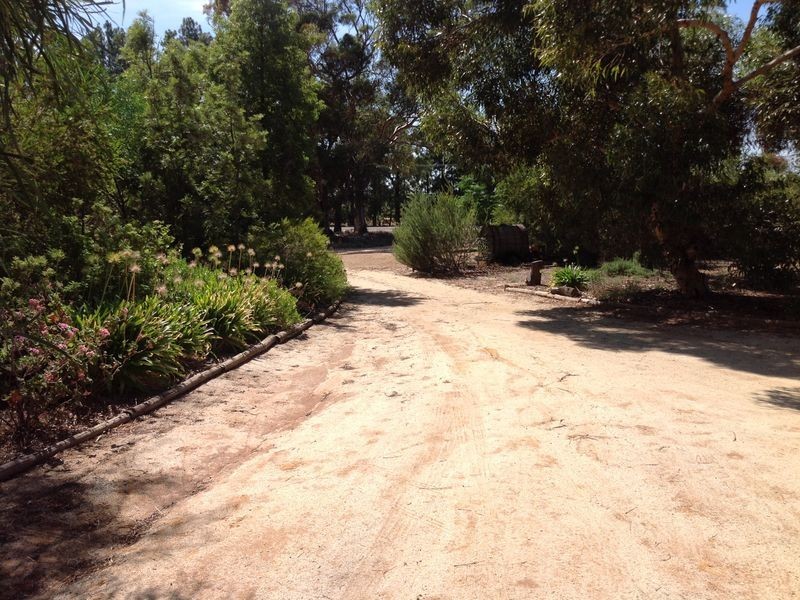 314 Winkie Road, Winkie SA 5343