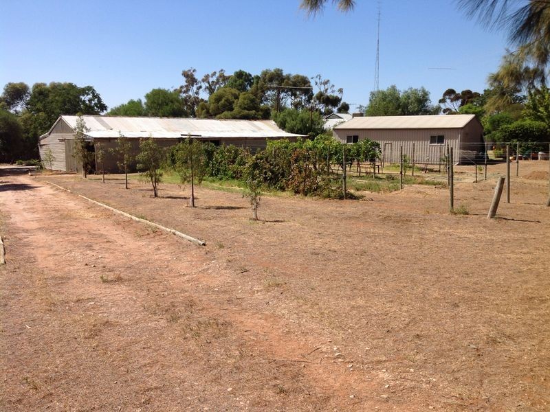 314 Winkie Road, Winkie SA 5343