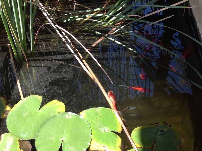 314 Winkie Road, Winkie SA 5343