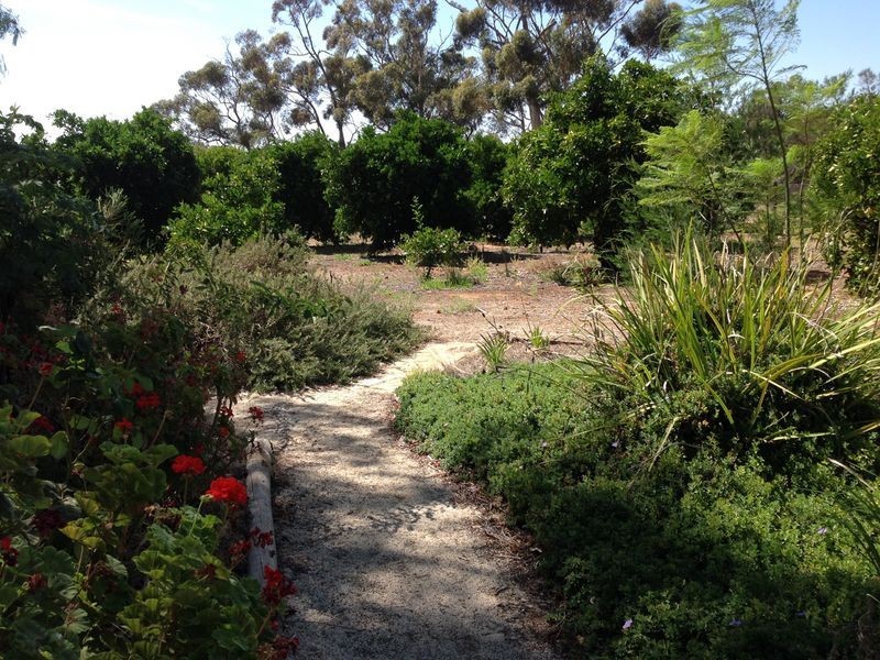 314 Winkie Road, Winkie SA 5343