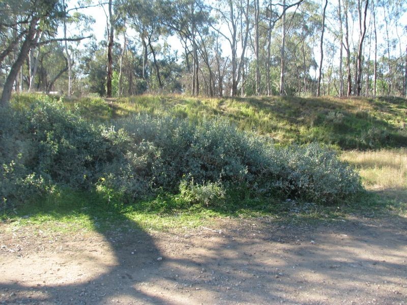 2 Mudge, Cobdogla SA 5346