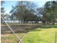 2 Mudge, Cobdogla SA 5346