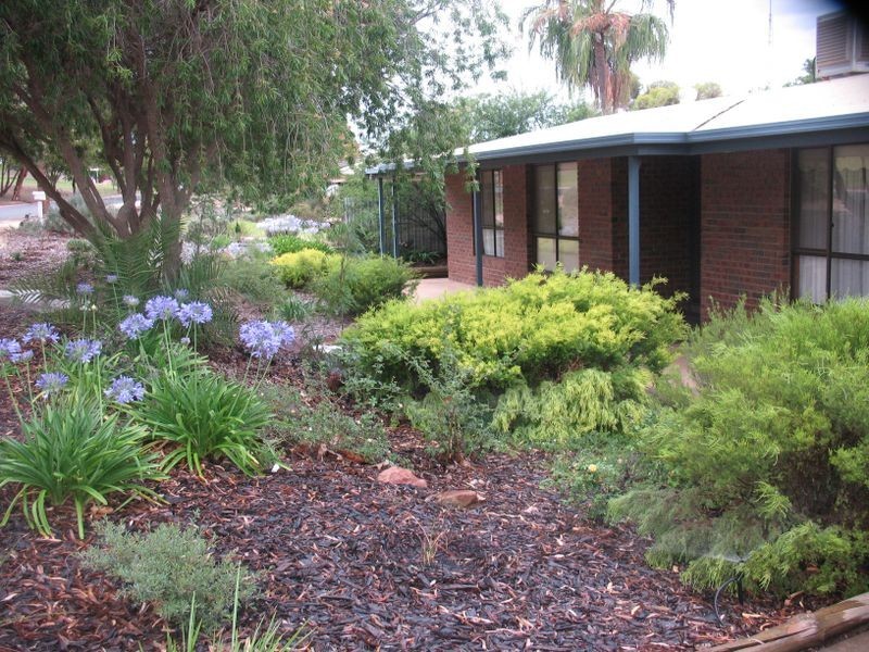 15 Spriggs Street, Berri SA 5343