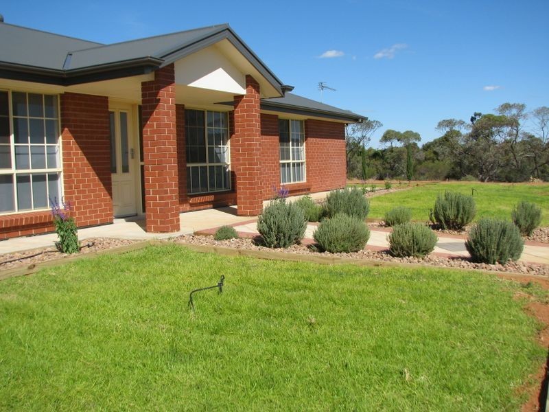 494 Jury Road, Monash SA 5342