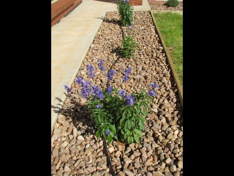 494 Jury Road, Monash SA 5342