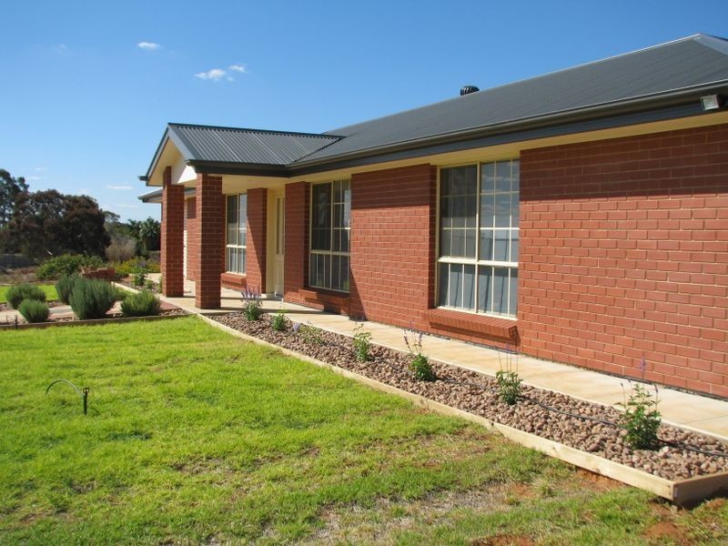 494 Jury Road, Monash SA 5342