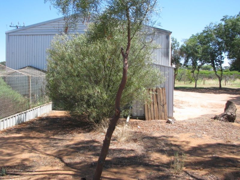 24 Dalziel Road, Glossop SA 5344