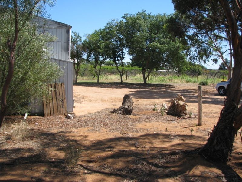 24 Dalziel Road, Glossop SA 5344