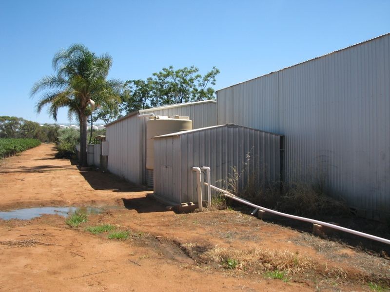 24 Dalziel Road, Glossop SA 5344