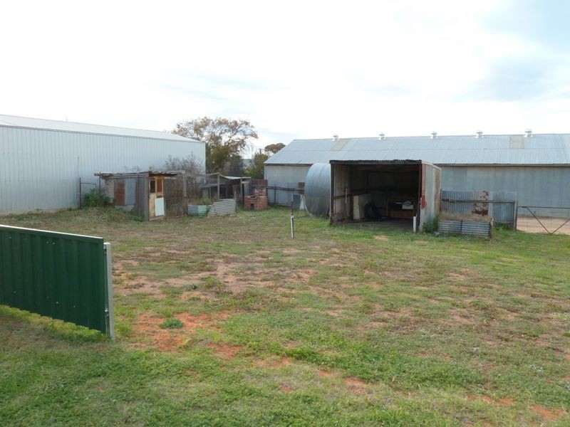 3 Pascoe Terrace, Barmera SA 5345