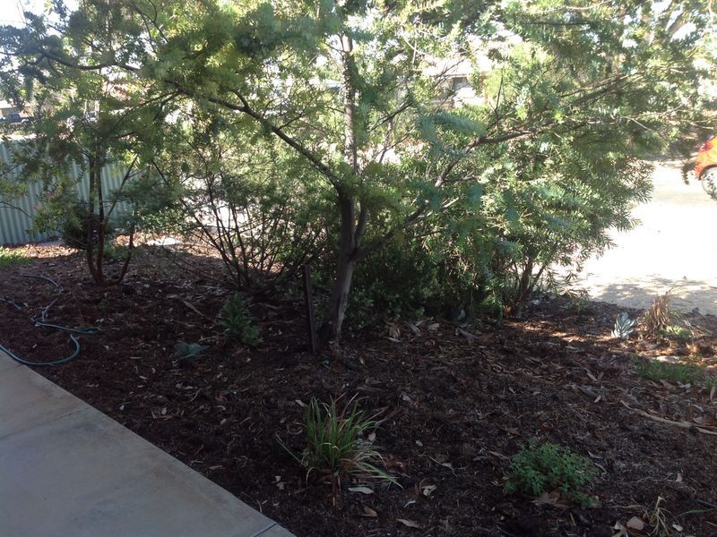 6A Tanko Crescent, Loxton SA 5333