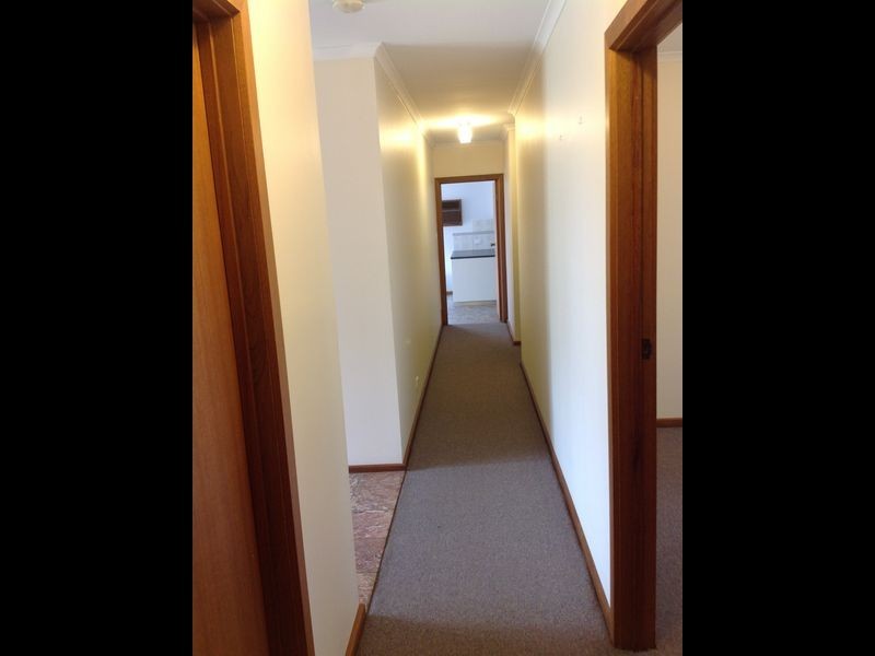 8 Trantalis Court, Loxton SA 5333