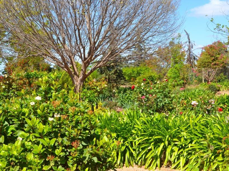 9 Kondoprias Court, Berri SA 5343