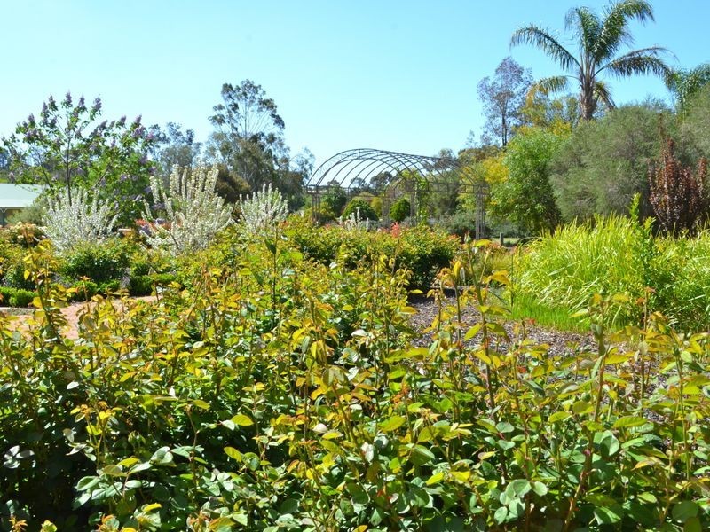 9 Kondoprias Court, Berri SA 5343