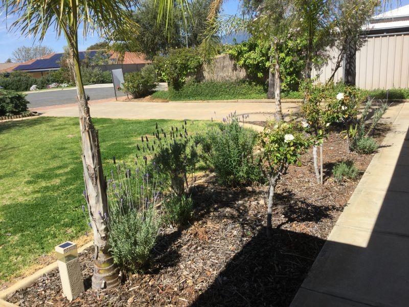 9 Berriview Court, Berri SA 5343