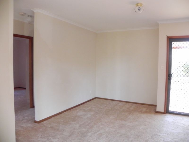 17 Phillips Road, Berri SA 5343