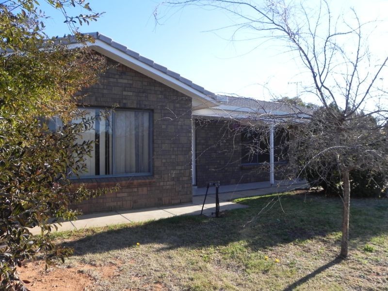 17 Phillips Road, Berri SA 5343