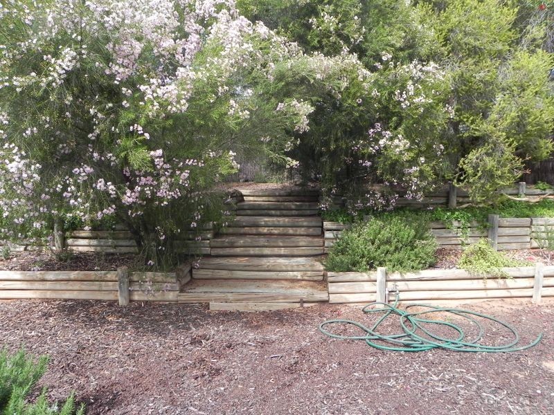 27 Spriggs Street, Berri SA 5343